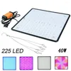 Luzes Luzes Luzes LED Painel de luz Full Spectrum 1000W Phyto Lamp AC85265V UE/UK/UK/Au Plugue para o crescimento das plantas de tendas internas