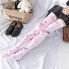 Women Socks Spring Summer Sexy Thigh High Stockings 3D Printing Panda Dundun Knee Cute Pink Kawaii Lolita Long Sock