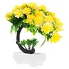 Fiori decorativi Bonsai Albero finto Fiore Artificiale in vaso Vaso finto realistico Peonie da interno Tavolo Ginepro verde dal vivo