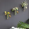 Planters Pots Wall mounted Vase Home Decor Hanging Flower Wall Hydroponic Living Room ation Modern with Iron Frame 230330