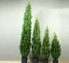 Dekorativa blommor o-x582 grossist UV-resistent krukut konstgjorda stift träd landskapsarkitektur podocarpus falska bonsai utomhus