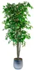 Decorative Flowers Artificial Plant Tree With Natural Logs For Home Decoration Bamboo Ficus Wisteria Olive Eucalyptus Almond