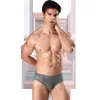 Underpants 4pcs Summer Men's Underwear Ice Mesh Breathable Sexy Youth Boxer Bamboo Ventilate Shorts Briefs Large Size Booty Men Panties