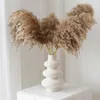 Fioriere Vasi Decorazioni per la casa Vaso in ceramica Nordic Room Flower Modern Living tion for tion Stand Flowers 230330