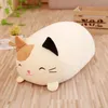 Poupées en peluche 2028cm animaux doux dessin animé chat oreillers coussin beau lapin peluche chien Totoro cochon grenouille jouet cadeau d'anniversaire 230329