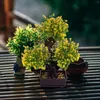 Fleurs décoratives Bonsaï Artificielle Faux En Pot Faux Décor Simulation Réaliste Mini Pot De Pin Vert Intérieur Fleur Arbres De Bureau