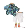 Kinder Baumwolle Kleidung Baby Sport Jungen Kausale Printe Blatthemd Shorts 2pcs/Sets Säuglinge Kinder Mode -Kleinkind -Trailsuiten