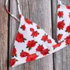 Bañador Sexy para Mujer, Bikinis 2023 con estampado de rosas para Mujer, biquini con relleno de realce, bañadores ajustados, traje de baño femenino de cintura baja, Bikini brasileño