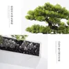 Decorative Flowers FQ Simple Artificial Greeting Pine Zen Entrance Decoration