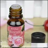 Andere huizentuin natuurlijke planten etherische olie 10 ml tea tree oliën voor aromatherapie diffusers auto binnenlucht luchtbevochtiger drop levering dhkijij