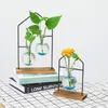 花瓶ホームデコレーションリビングルーム装飾オフィス装飾水耕植物花瓶の花のアレンジメントコンテナガラス