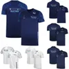 Camisetas masculinas F1 Team Camiseta Fórmula 1 Driver Manga Curta Polo Camisas Fãs de Corrida Verão Casual Camisa Respirável Jersey Plus Size Personalizado CY4M