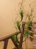 Fleurs décoratives mousse décor artificiel plantes en soie pour l'extérieur herbe mur toile de fond vert fausse mousse pierre arbre brindilles branche tronc maison
