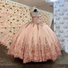 Champagner-glänzende Schatz-Quinceanera-Kleider für 15 Partei-Art- und Weiseärmellose Applikationen, die formale Geburtstags-Prinzessin-Kleider bördeln