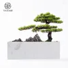 Fleurs décoratives FQ Décoration d'entrée zen en pin de salutation artificielle simple