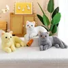 30 cm vraie vie chats en peluche peluche chat couché poupée en peluche pour enfants bébé poupée enfants cadeau d'anniversaire décoration de la maison LA589