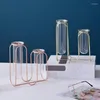 Вазы 1pc Nordic Geometric Irron Glass Vase Tub