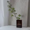 Wazony wazon przezroczysty prostokąt w stylu nordyckim kształt kształt kontenera rośliny dekoracja domu