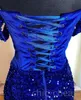 2023 Arabiska aso ebi Royal Blue Prom Dress Beaded Crystals Mermaid Evening Formal Party Second Reception Födelsedagsengagemang Klänningar Klänningar Robe de Soiree ZJ2433