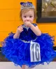 Girl Cupcake Pageant Dress for Little Miss 2023 Royal Blue Sequin Glitz Baby Kids Birthday Formal Party Gown Infant Toddler Designer Ruffles Skirt Mini Real Image