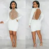 Casual Dresses Women's Sexy See Through Mesh Mini Dress Long Sleeve BodyCon Party Club för Womencasual