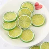 Party Decoration 24PCS Artificial Fruits Decorative Simulation Slice Fake Block Pography Props Wedding Ornaments Home Decor