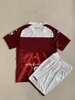 23/24 Torino FC Limited Edition koszulki piłkarskie 2023 2024 Wersja specjalna Zaza Ricci Pjaca Brekalo Zima T. Sanabria Lukic Pellegri Singo Seck Men Football Shirts