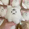 Bear Bear Bear Bear Key Chain Soft Soft Plush Toy -keykain شعبية في Instagram Children Schoolbag Bag Accessories Gifts Creative for Party