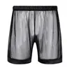 MUITAS PONTAS Mens exóticas Lingerie Undeeptants Vê-me-Mosse Briefas de Mesh Lounge Boxer Shorts Baixa Rise Elasitc