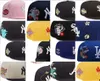 snapbacks chicago