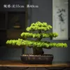 Decorative Flowers Chinese Zen Simulation Plant Potted Fortune Welcome Pine Household Living Room Porch Table Decoration Garden