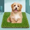 Dekorativa blommor Pet Grass Urinering Mat Green Micro Landscape Decor Mini Fairy Garden Simulation Artificial Fake Moss Outdoor Gardening