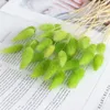 Decorative Flowers 30Pcs Simple Elegant Natural Dried Tail Grass Bunch Colorful Bouquet Wedding Artifical Home Decoration