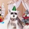 Hundkläder Pet Cat Christmas Hat Holiday Birthday Costume Cap Xmas Day Headwear pannband Happy Year Decer Caps Tillbehör
