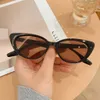 2022 Designer Classic Solglasögon Vintage Hipster Cat-Eye Shades Stor ram Utomhus Sportstrand Solskyddsmedel Män och kvinnor