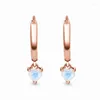 Brincos de garanhão S925 Sterling Silver Rose Gold Gold Love Moonstone Feminino Classic Holiday Gifts