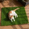 Decorative Flowers Pet Grass Urinating Mat Green Micro Landscape Decor Mini Fairy Garden Simulation Artificial Fake Moss Outdoor Gardening