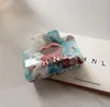 Luxe Womens Designer Azijnzuur haar clip Haar Voor Vrouwen Meisjes Merk Brief Designer Haar Klauw Mode Haar Klauw Mode Haarspeld