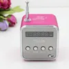 Radio TDV26 Mini Receiver Wireless Sers Digital Fm For PC Phone Mp3 Music Player Support MicroSD Card 230331