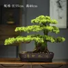 Decorative Flowers Chinese Zen Simulation Plant Potted Fortune Welcome Pine Household Living Room Porch Table Decoration Garden