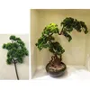 Dekorative Blumen, künstliche Pflanzen, kleine Baumblätter, einladende Kiefernnadel, künstliche Blätter, Zweig, Bonsai-Ornamente, Heim-El-Garten-Dekoration