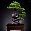 Fiori decorativi Pianta simulata Bonsai Pino artificiale Decorazione da tavolo Piante finte in vaso verde per interni Decorazioni per la casa