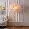 Stehlampen Nordische Romantische Federlampe 1,2 M Für Mädchen Nacht Wohnzimmer Dekor Licht Straußenständer Weiß Rosa