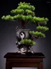 Decorative Flowers Simulated Plant Bonsai Artificial Pine Tree Tabletop Decoration Indoor Green Potted Fake Plants Home Decor