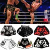 ボクシングトランクスムエタイパンツ通気性ルーズプリントキックボクシングファイトグラップリングショートMMAショーツ服三田230331