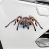 3D Spider Lizard Scorpion Car Sticker 3D Animal Mönster Fordonsfönsterspegel