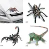 3D Spider Lizard Scorpion Car Sticker 3D Animal Mönster Fordonsfönsterspegel