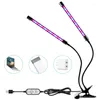 Whod Lights 1/2/3/4 główki LED lampa fito lampa Pełne spektrum USB Phytolamp dla hydroponicznego namiot hydroponicznego pudełka