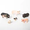 Simulerad vildsvinmodell gårdsdjurpig Family Set Figurer Action Figure Pedagogiska leksaker för barn Heminredning