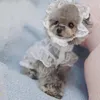 Vêtements pour chiens Vêtements pour animaux de compagnie Robe mignonne Chapeau respirant Belle jupe en dentelle pour chiot